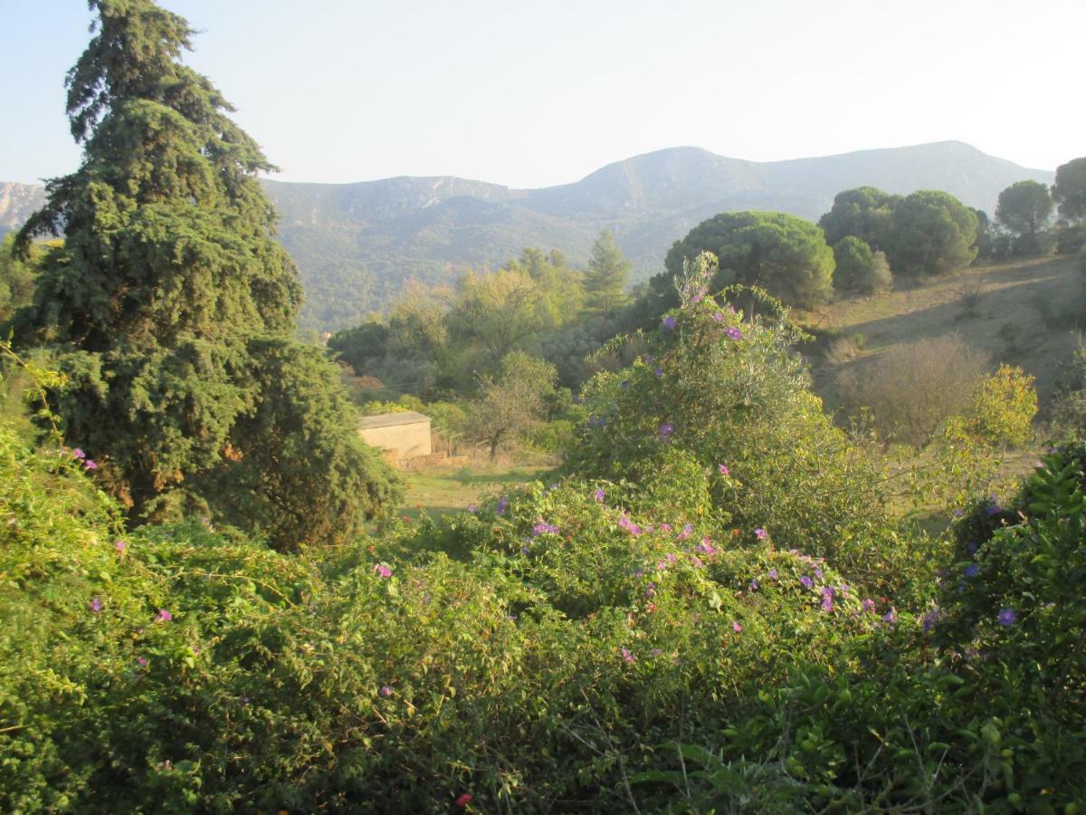 Coin De Paradis Quinta do Anjo Eksteriør bilde